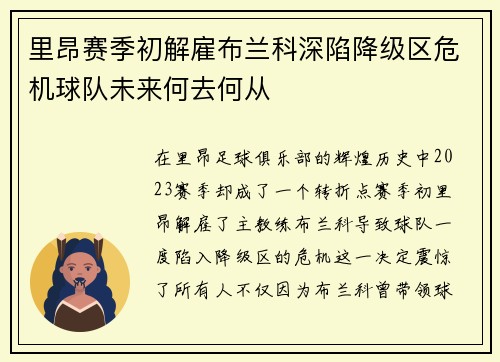 里昂赛季初解雇布兰科深陷降级区危机球队未来何去何从 里昂赛季初解雇布兰科深陷降级区危机球队未来何去何从